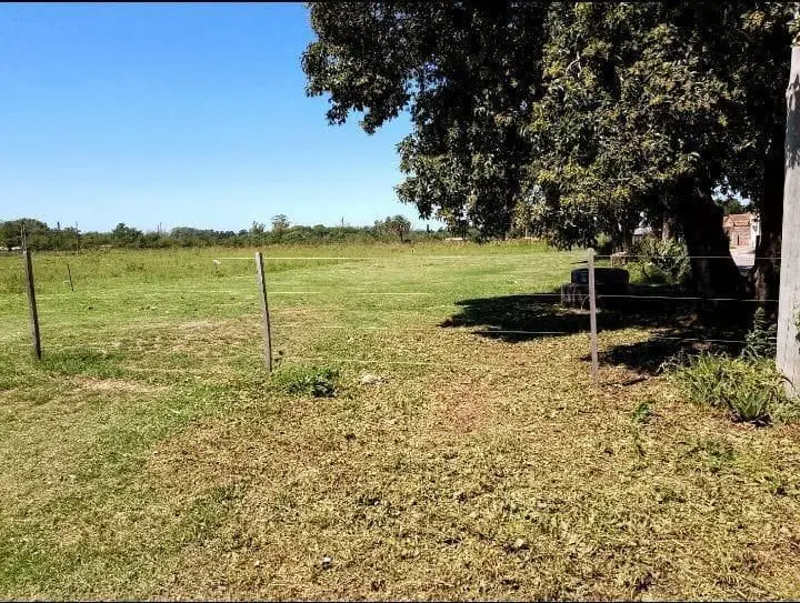 Campo en venta 67.84 ha - Pergamino