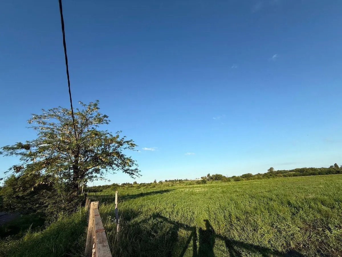 Campo en venta 372.94 ha - Pergamino
